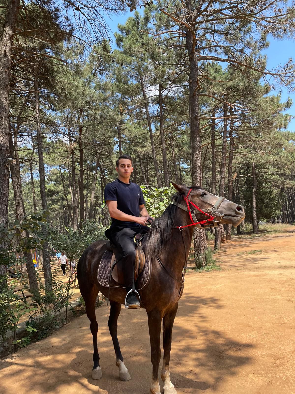 At Çiftliği Fotoğraf 17