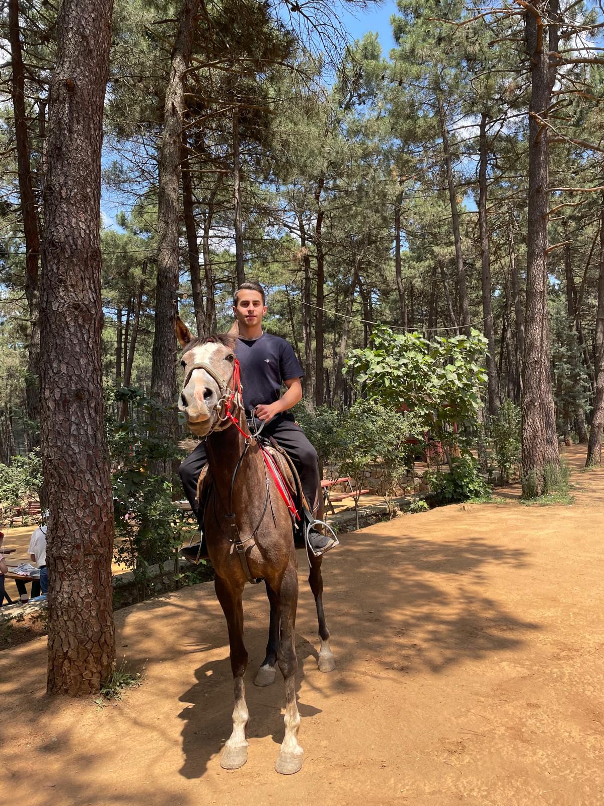 At Çiftliği Fotoğraf 18