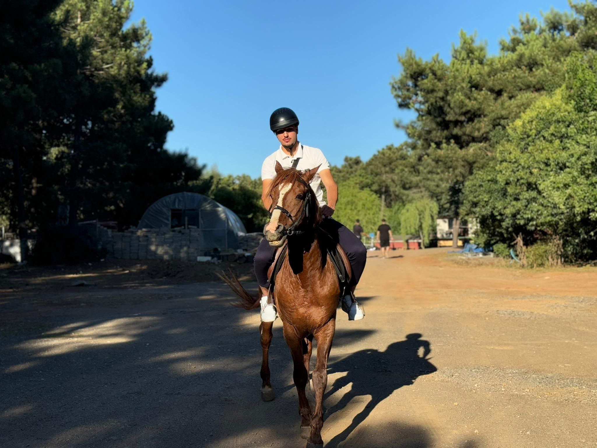 At Çiftliği Fotoğraf 19