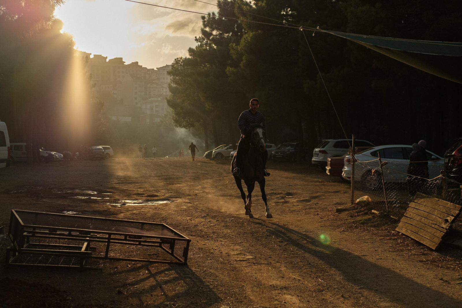 At Çiftliği Fotoğraf 23