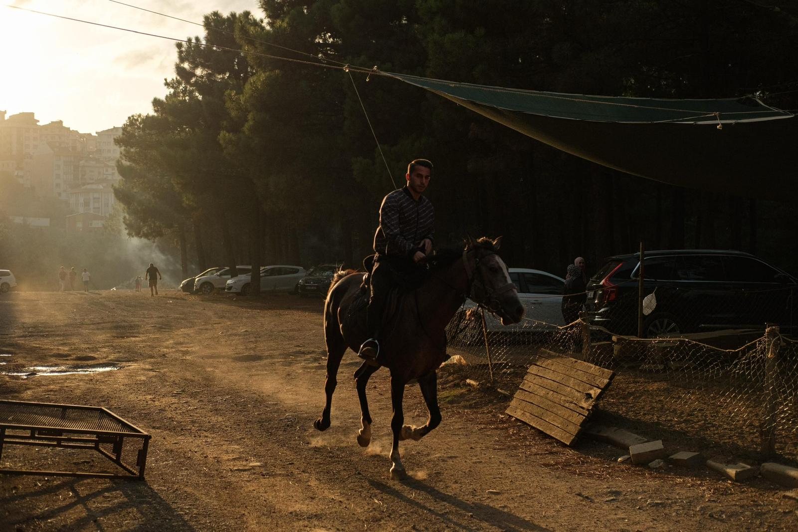 At Çiftliği Fotoğraf 24