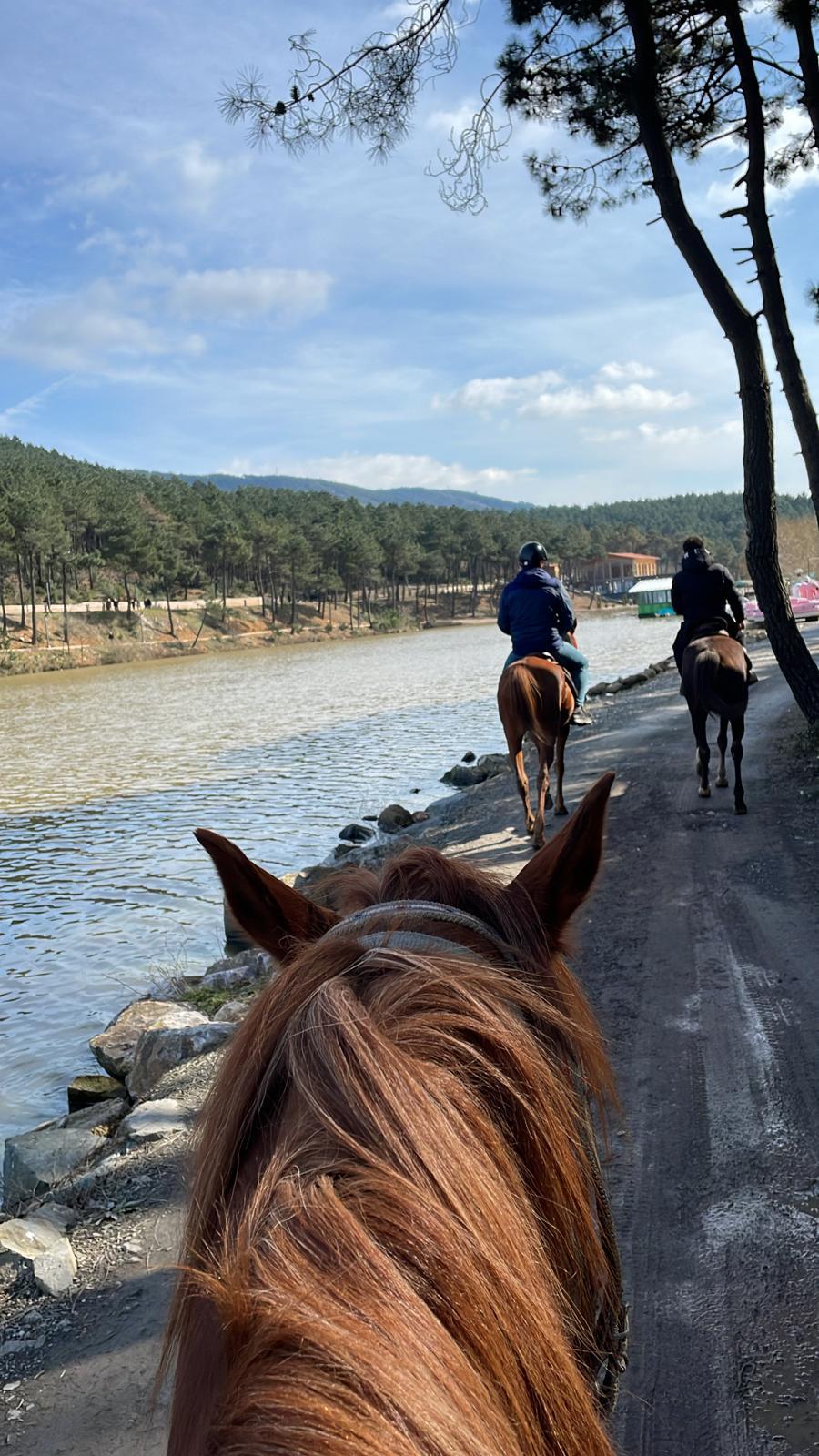 At Çiftliği Fotoğraf 6